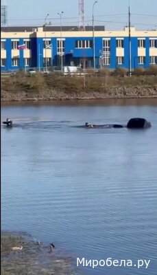 Виртуозные водители: как их только занесло почти в центр водоема?