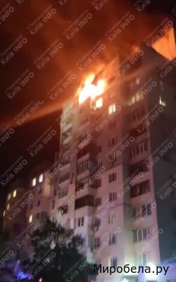 Нельзя жалеть, надо учить уважать или хотя бы бояться.