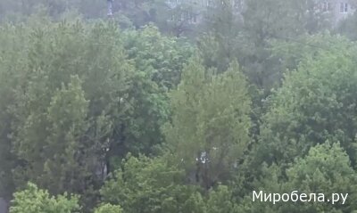 Москва под мощным ливнем — природа показывает свою силу! Питер, готовься к эпическому зрелищу!