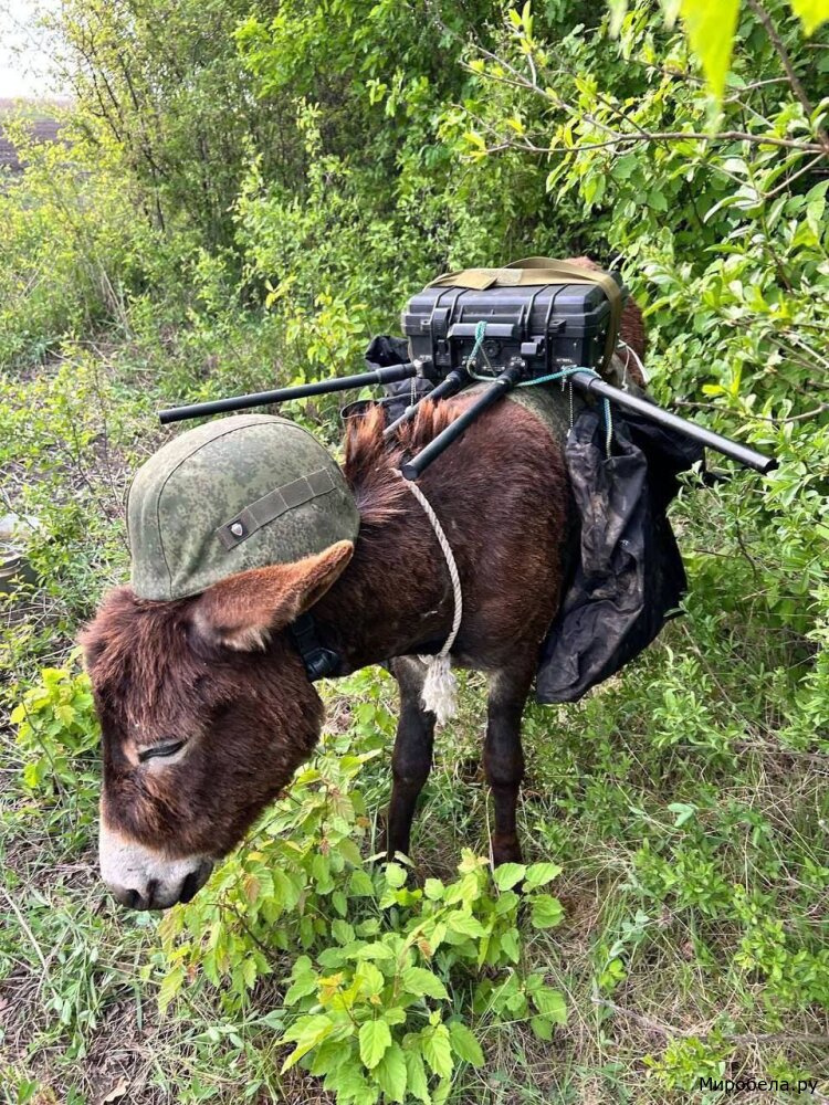 РЭБ и война не щадят никого — важно помнить о цене жизни и человеческой морали.