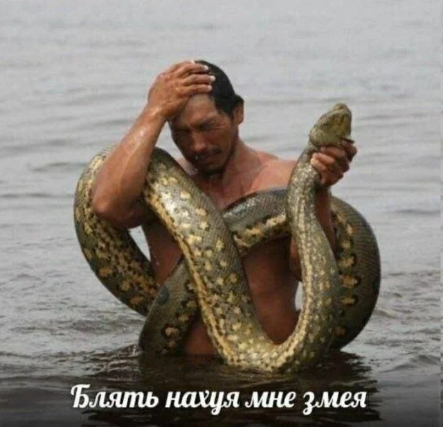угарные картинки