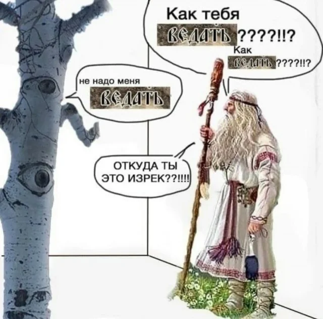 фото приколы