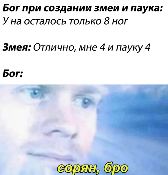 фото приколы
