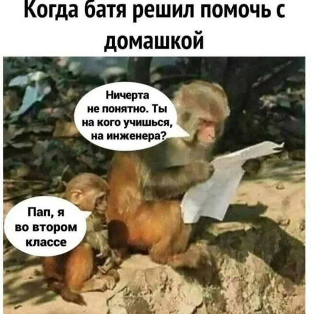 мемы