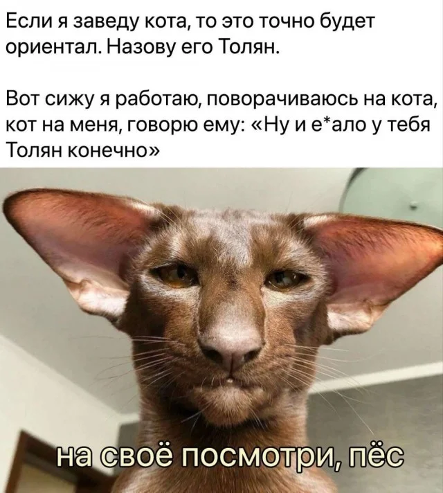 фото приколы