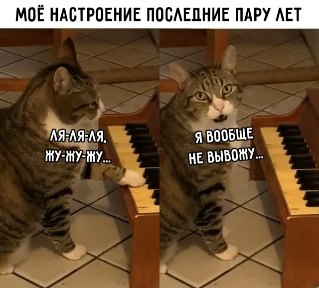 Лучшие прикольные мемы