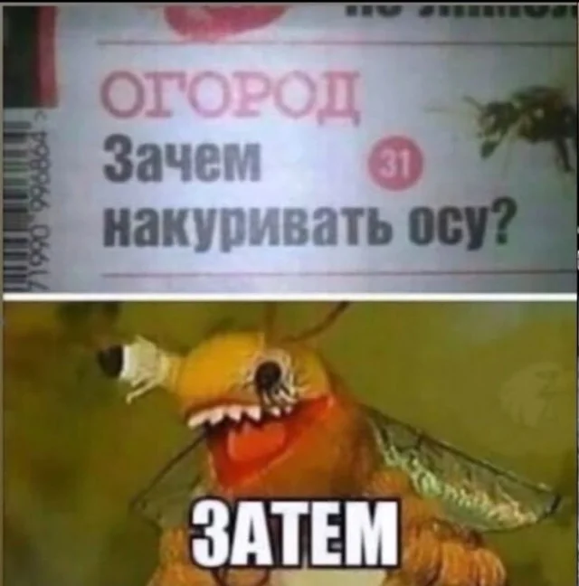 мемы