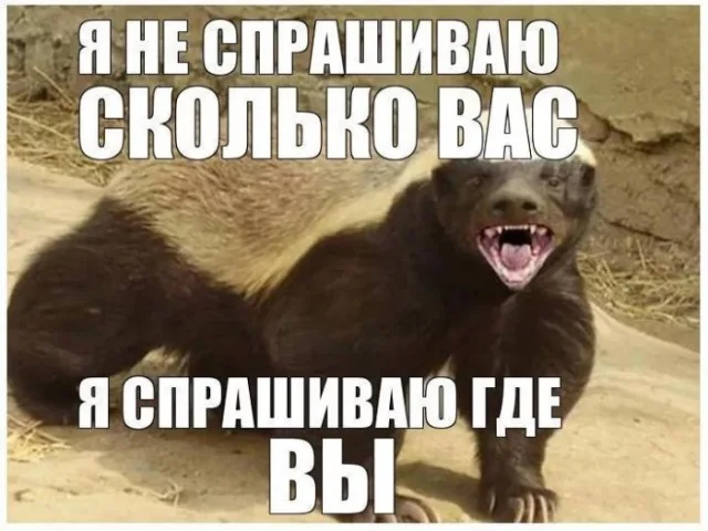 Лучшие прикольные мемы