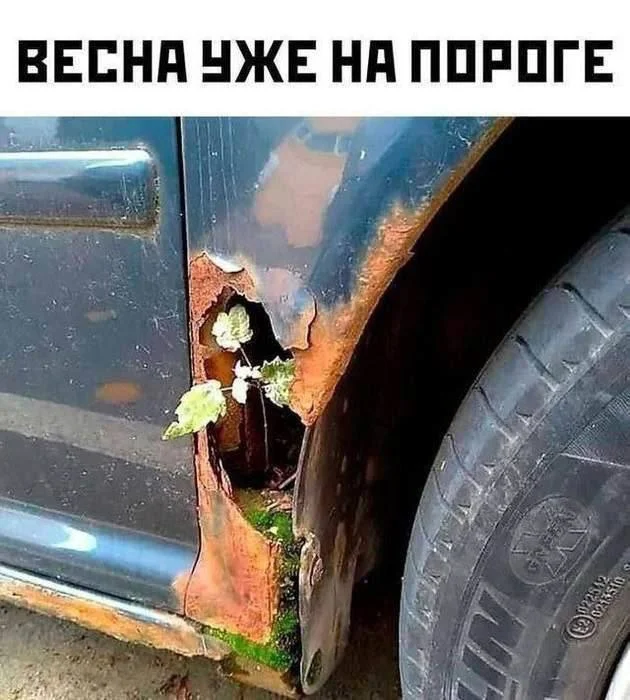 мемы для взрослых