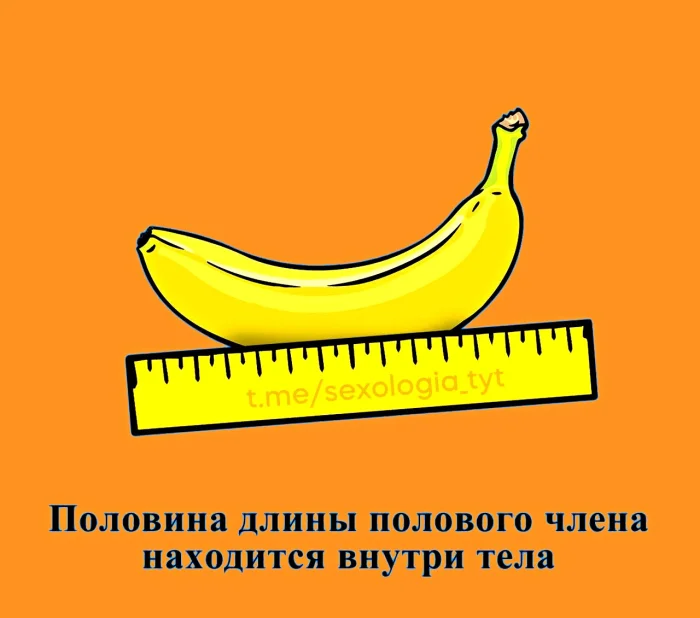 правда о сексе