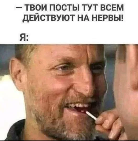 фото приколы