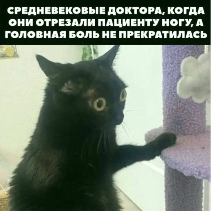 чёрный юмор