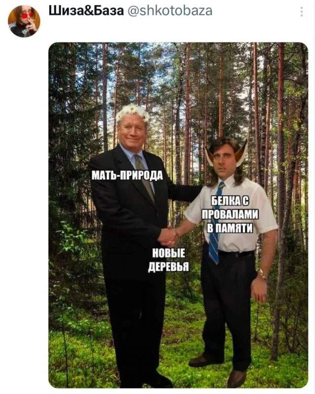 мемы приколы