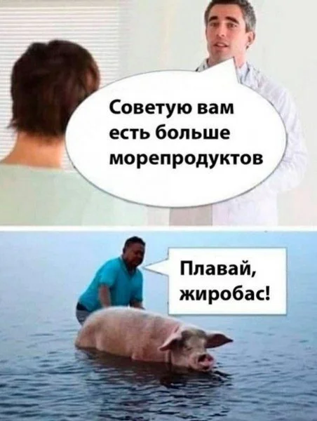 мемы приколы