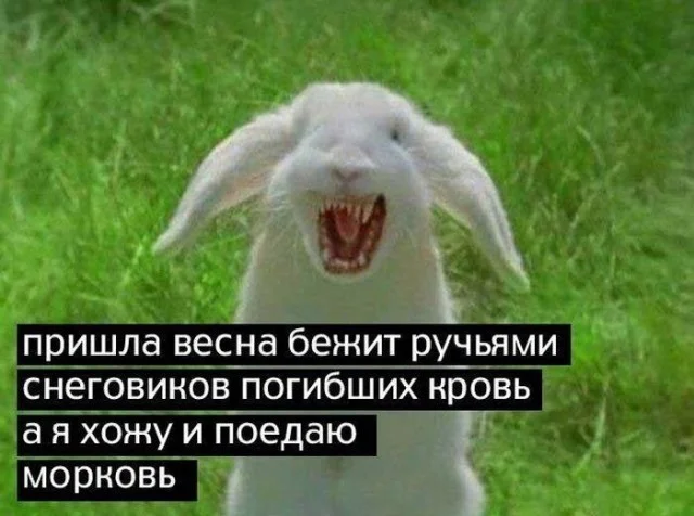 угарные картинки