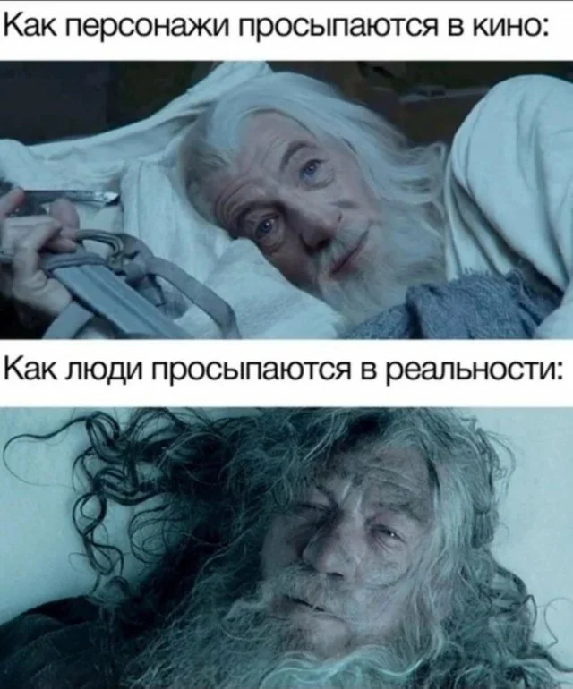 Лучшие прикольные мемы