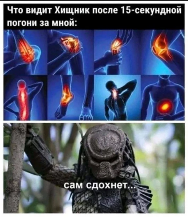 мемы приколы