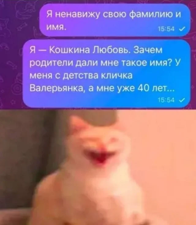Лучшие прикольные мемы