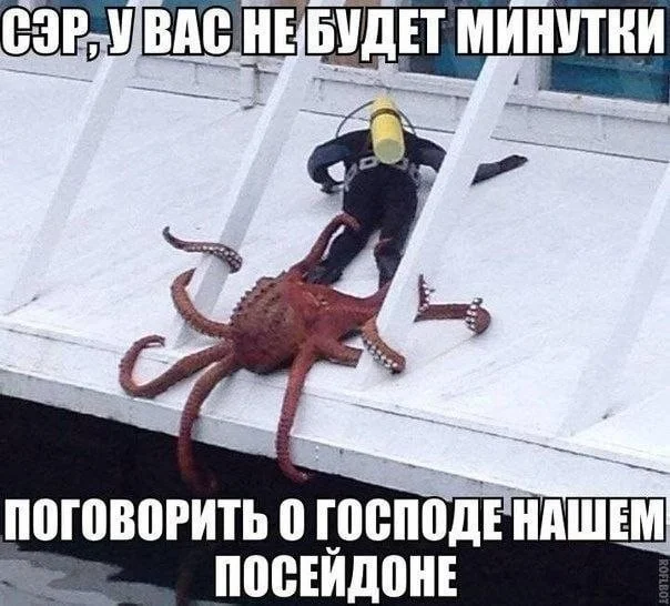 фото приколы
