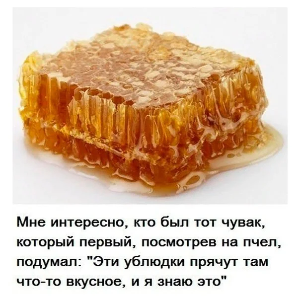 угарные картинки