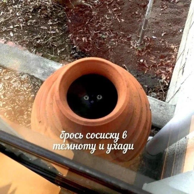 угарные картинки