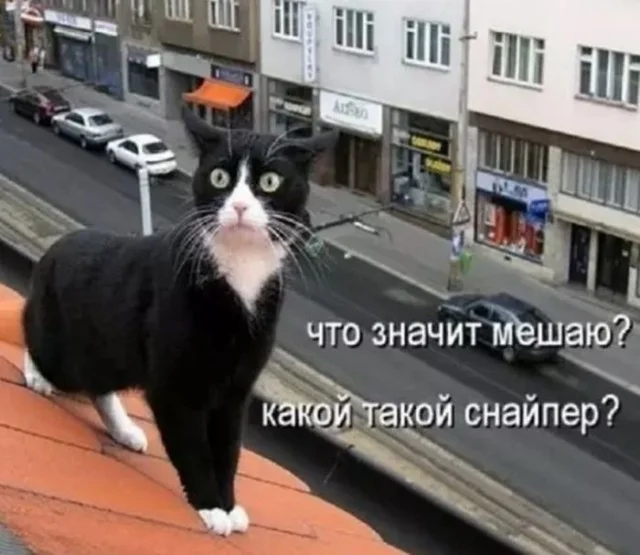 Лучшие прикольные мемы