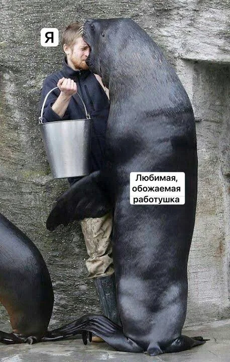 мемы приколы