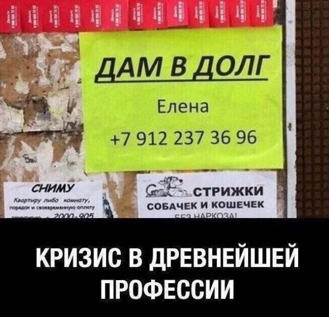 юмор мемы