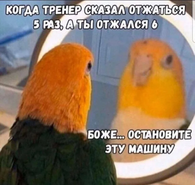 угарные картинки