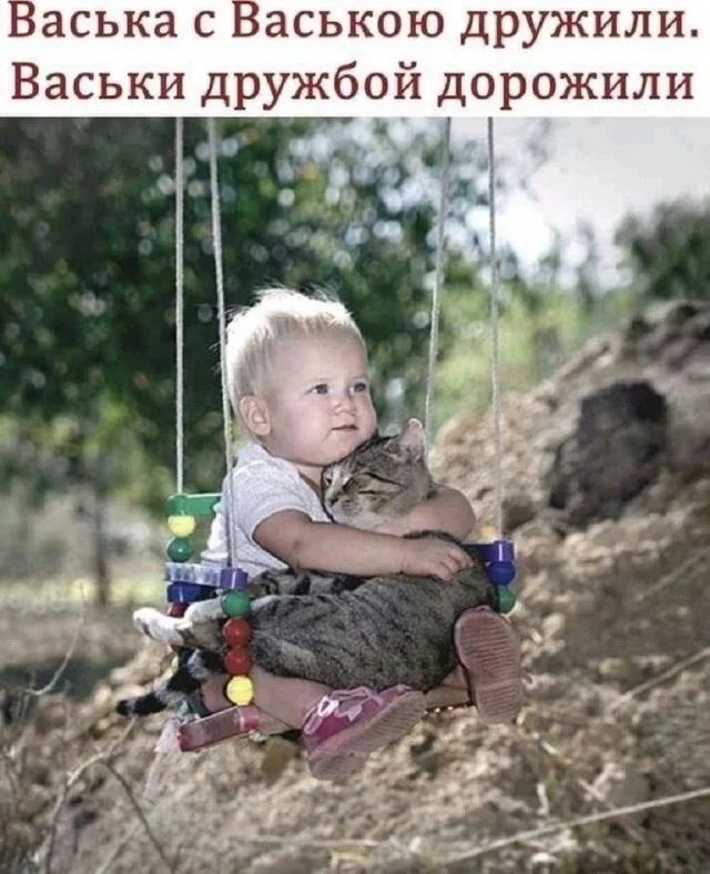 юмор мемы