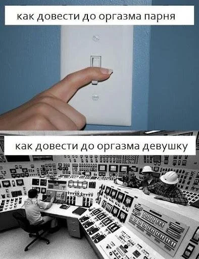шутки про собак