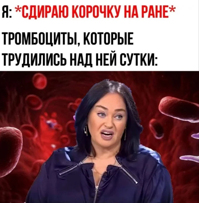 Лучшие прикольные мемы
