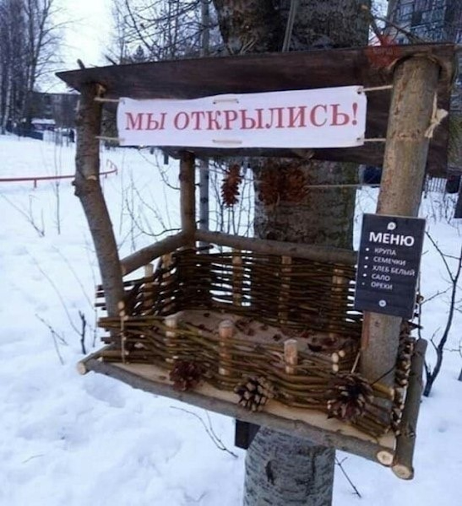 картинки