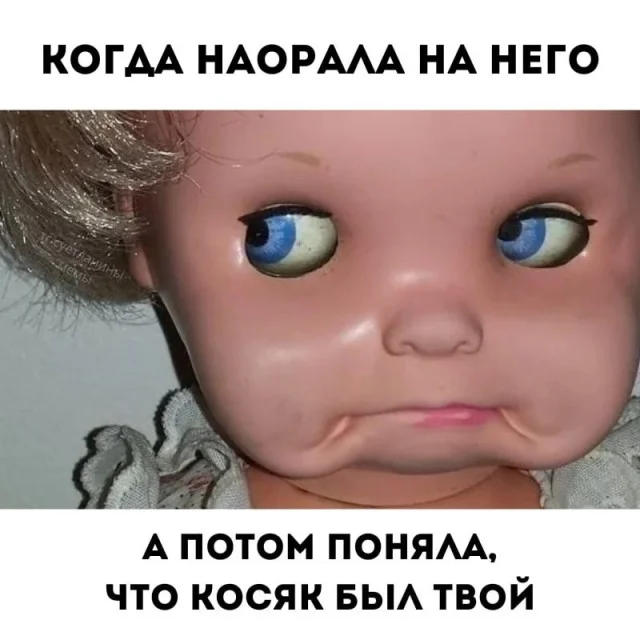 фото приколы