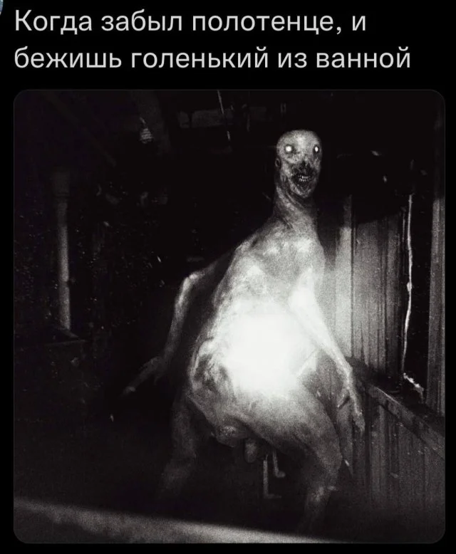 мемы приколы