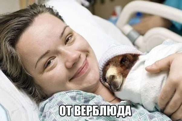 угарные картинки