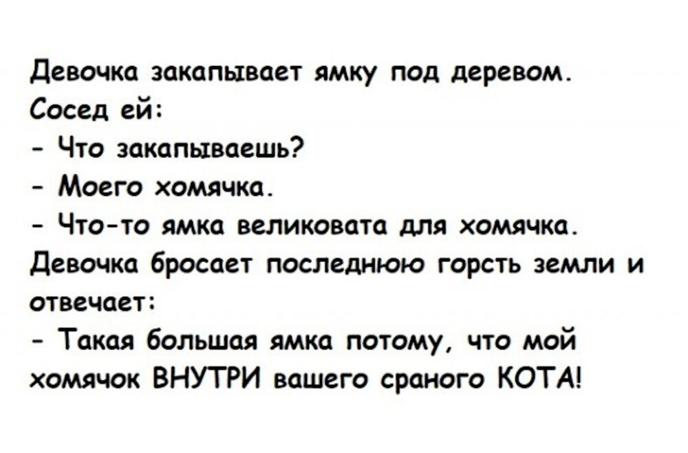 анекдоты и шутки