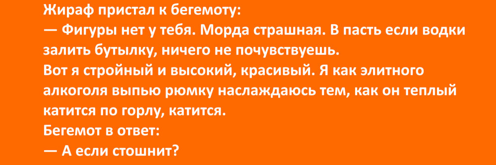 анекдоты и шутки