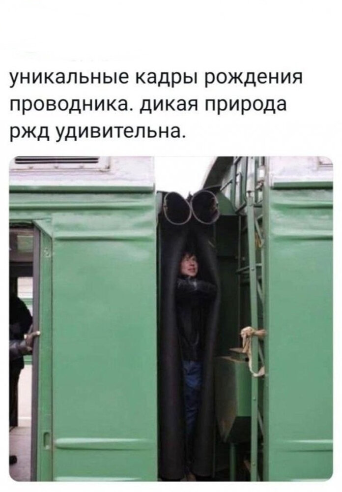 картинки