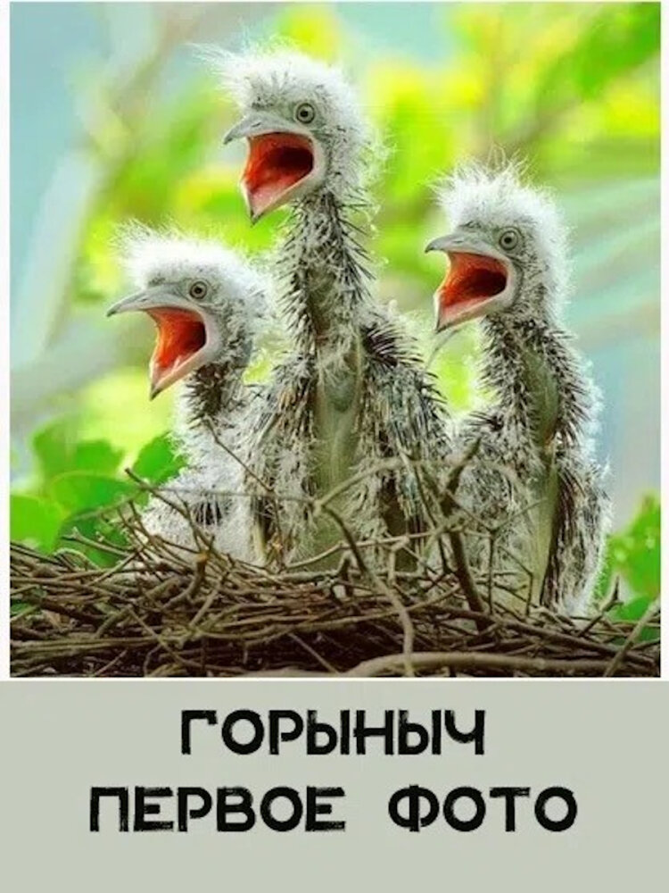 картинки