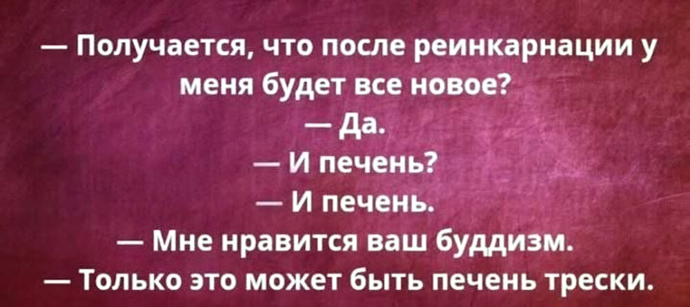 анекдоты и шутки